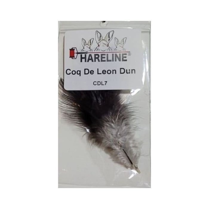 Coq De Leon Feathers