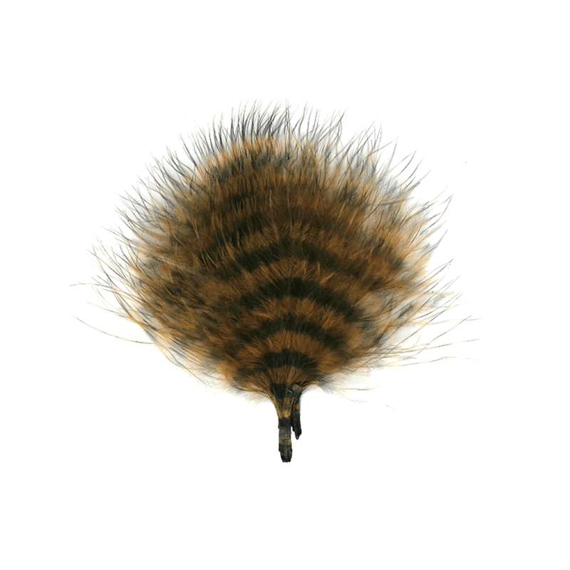 MFC Barred Marabou