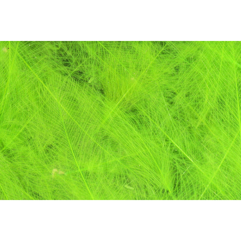 Cul De Canard CDC by Hareline