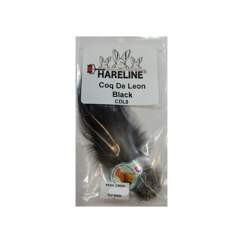 Coq De Leon Feathers