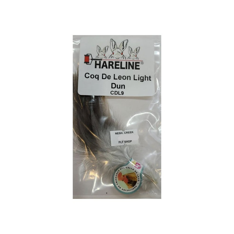 Coq De Leon Feathers