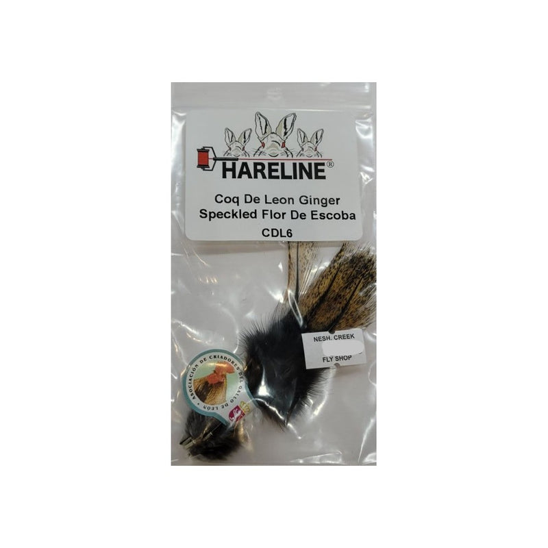 Coq De Leon Feathers