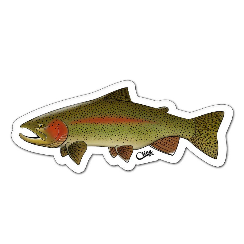Cling Rainbow Trout Decal