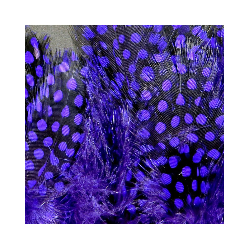 Strung Guinea Feathers