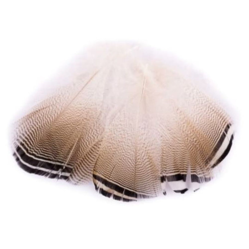 Wood Duck Flank Feathers