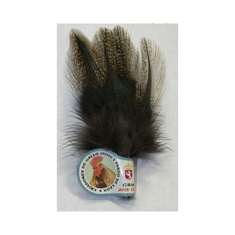 Coq De Leon Feathers