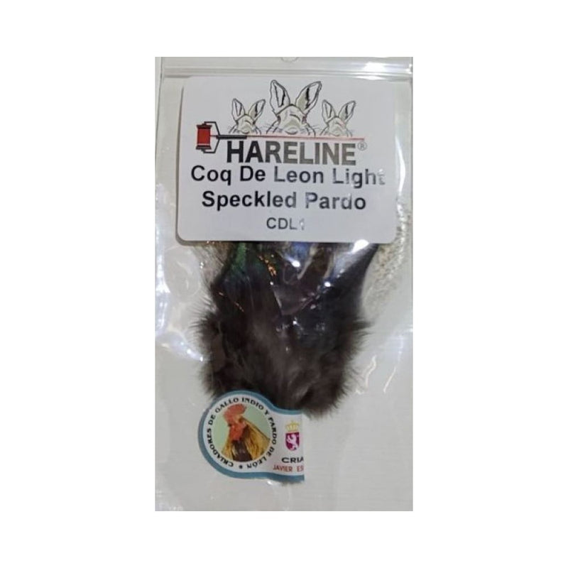 Coq De Leon Feathers