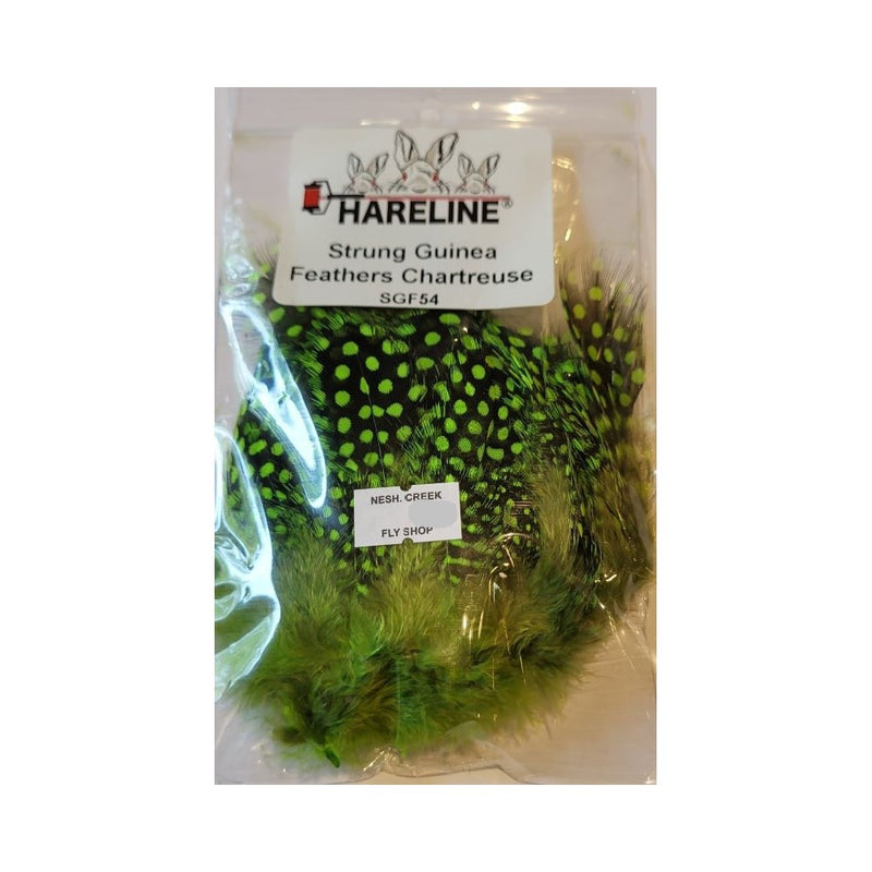 Strung Guinea Feathers