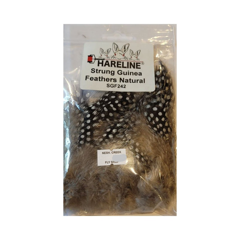 Strung Guinea Feathers