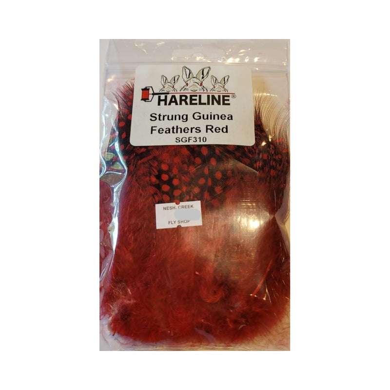 Strung Guinea Feathers