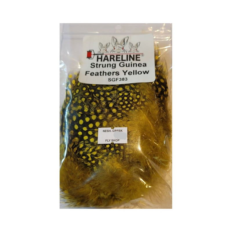 Strung Guinea Feathers