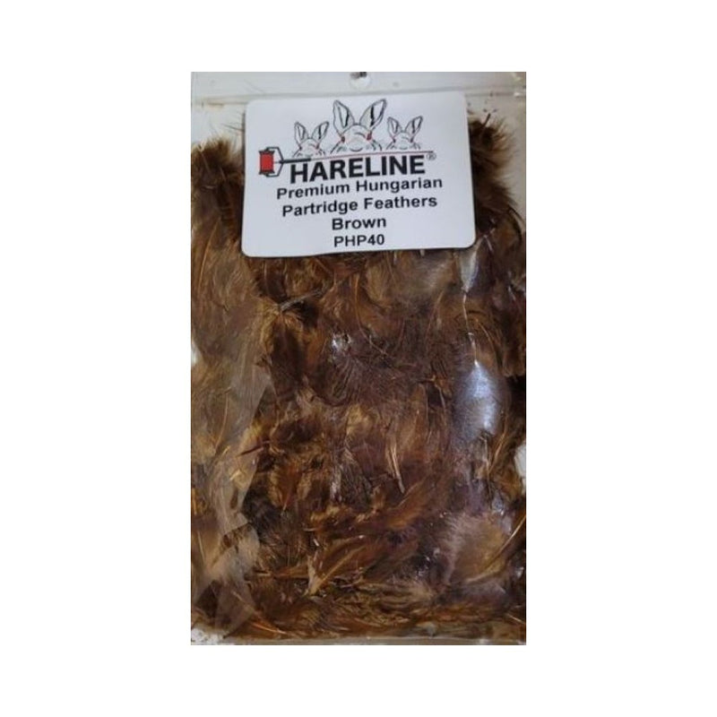 Hungarian Partridge Feathers