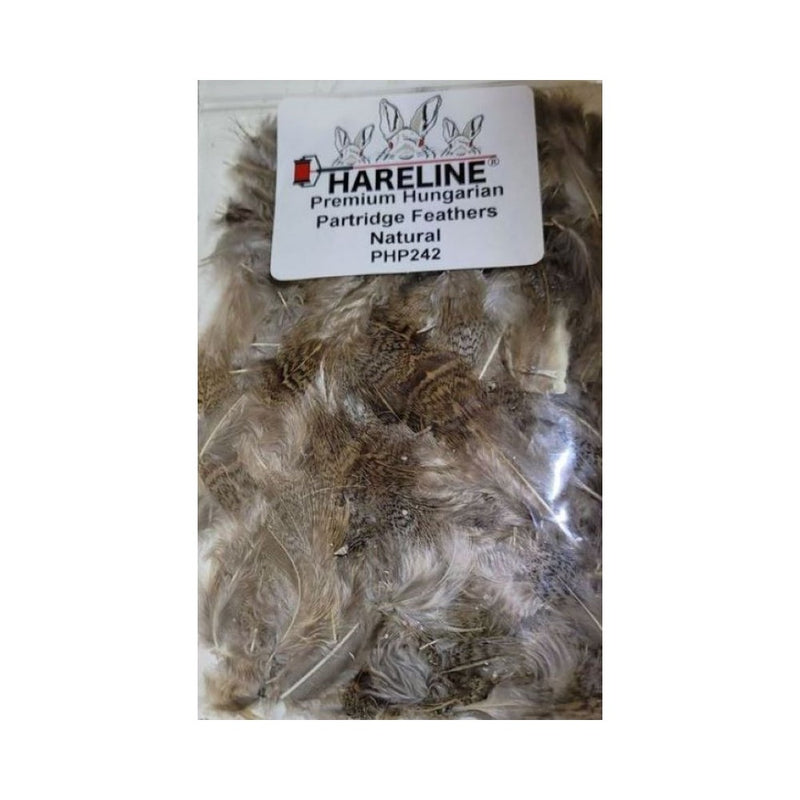 Hungarian Partridge Feathers