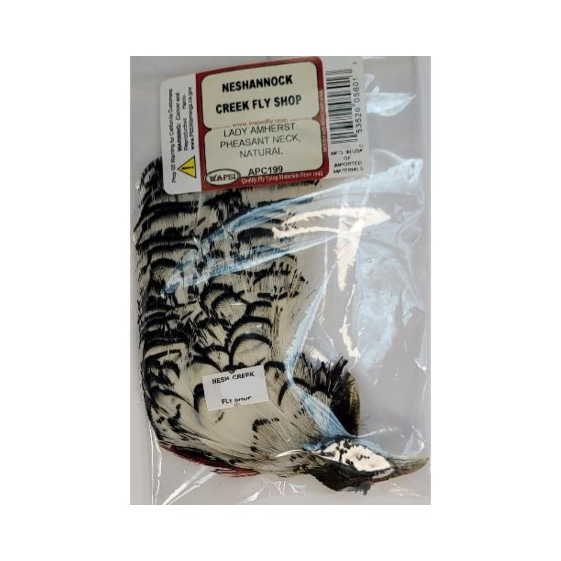 Lady Amherst Pheasant Neck