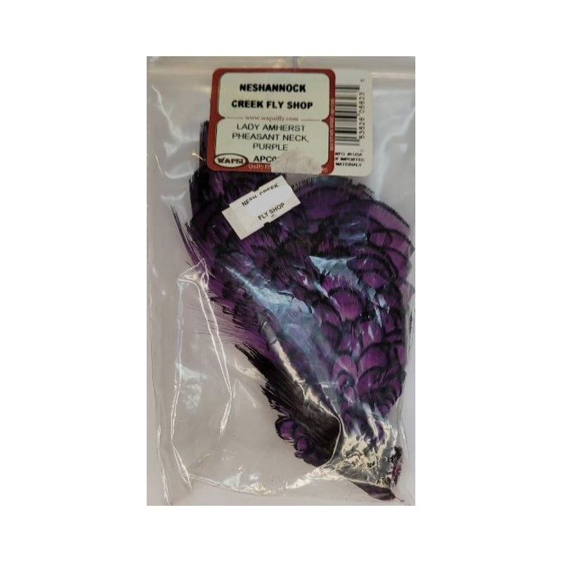 Lady Amherst Pheasant Neck