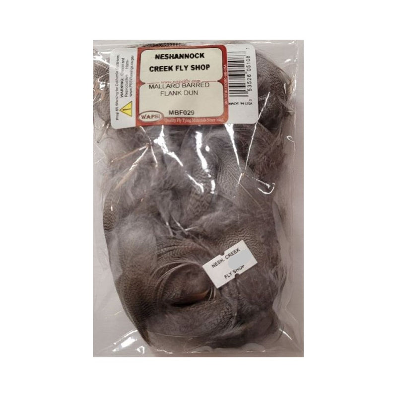 Mallard Barred Flank