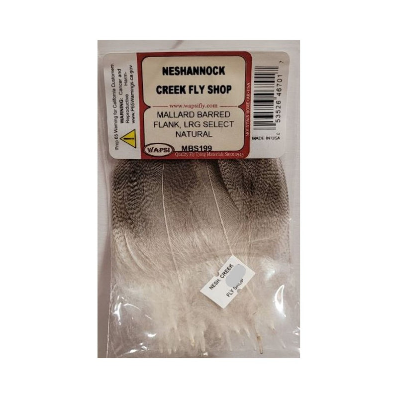 Mallard Barred Flank