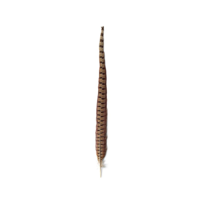 Pheasant Tails by Orvis